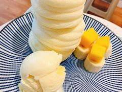 -王守财小山園