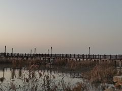 -苏州湾体育公园