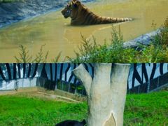 -西安秦岭野生动物园