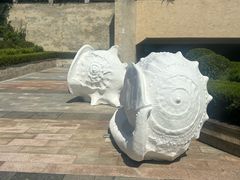 -青岛贝壳博物馆