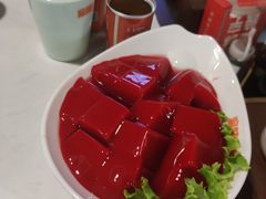 鲜鸭血-晓宇重庆火锅(赛格国际购物中心店)