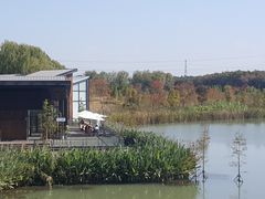 -昆山城市生态森林公园