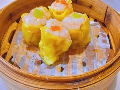 -隆隆金大茶楼(明珠广场店)