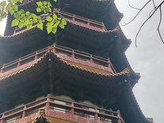 -天下玉苑