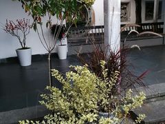 -杭州植物园