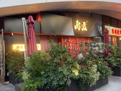 -乌君·酒场·炭火烧鸟(侨城坊店)