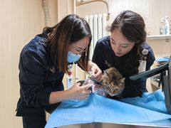 -喜多萌中农锦绣动物医院24H·猫科·牙科MRI·CT