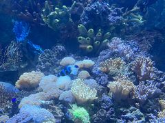 -欢乐海岸海洋奇梦馆