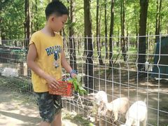 -上海长兴岛郊野公园