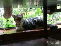 -咖法森林·咖啡  酒吧(天河店)