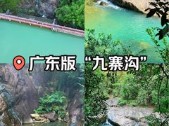 -广州白江湖森林公园