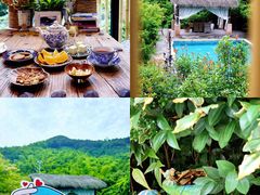 -看见远方·莫干遥远的山民宿