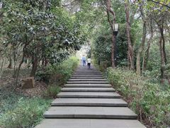 -宝界山林公园