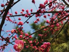 -丰台花园