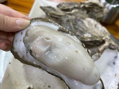 阳江炊蚝-大富蚝乌东哥饭店·石锅鱼杂·柠檬鸭(革新路店)