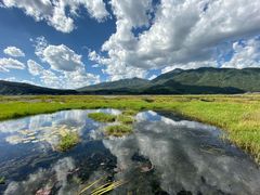-腾冲北海湿地