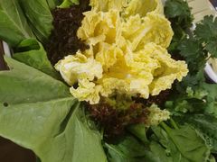 青菜拼盘-快乐小羊·内蒙牛羊肉火锅(流花中心店)