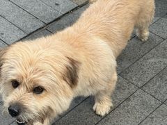 -妙·茶语咖啡 無形妙有艺术空间(文殊坊店)