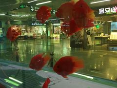 -连城·新天地(福华一路店)