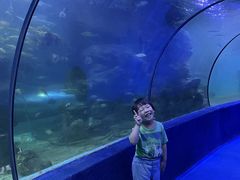 -左海海底世界