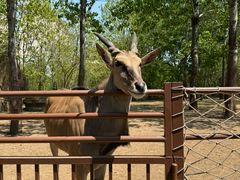 -大连森林动物园