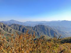 -大岭沟猕猴桃谷风景区