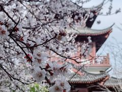 -堤角公园