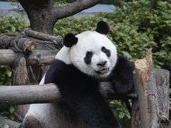 -黔灵山公园