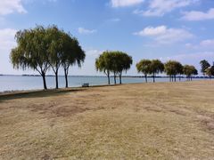 -漕湖湿地公园
