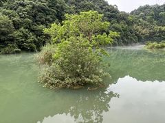 -五泄景区