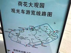 -白洋淀景区