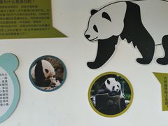 -宁波野生动物园