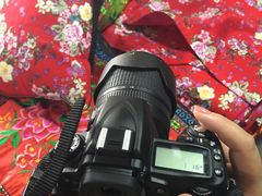 -璞真扎染博物馆