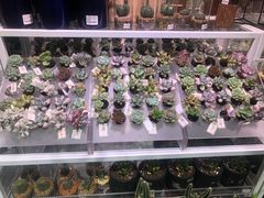 店内环境-KKV(深圳宏发大仟里店)