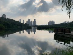 -前关湿地公园