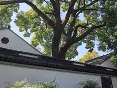 -秋霞圃