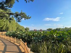 -长春市南湖公园