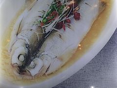 -柘林湖生态鱼馆