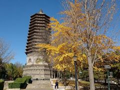-玲珑塔公园