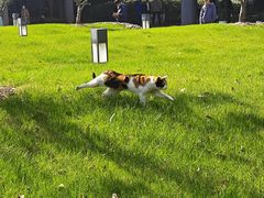 -陆家嘴世纪金融广场