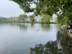 -西湖外事游船(花港观鱼码头)