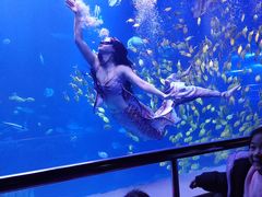 -太平洋海底世界