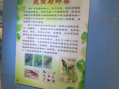 -上海昆虫博物馆