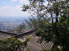 -杭州半山国家森林公园