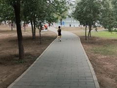 -永定河休闲森林公园