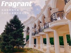 -朝阳公园