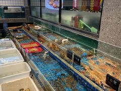 水产区-飞尝蚝·顺德菜·鱼生(顺德总店)