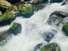 -龙苍沟森林公园