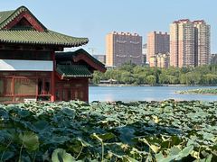 -济南大明湖景区