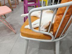 -喵小喵烘焙(广宜文苑店)